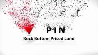 LAND PIN
