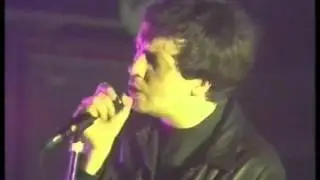 Pete Wylie / The Farm / Mick Jones -  Sinful, Liverpool 1991