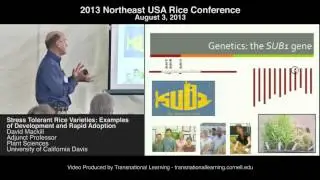 David Mackill - Stress Tolerant Rice Varieties: Examples of Development and Rapid Adoption