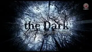 The Dark - Nature's Nighttime World 3 of 3 Patagonian Mountains