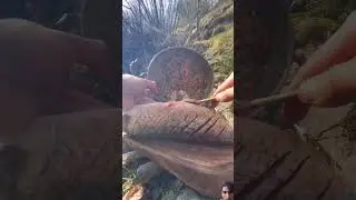#food #cooking #outdoorcooking #fish #nature #bushcraft #fishing #camping #survival #chickenrecipes