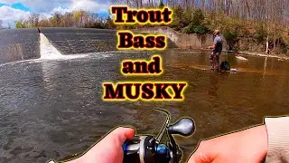 Pa Spring Fishing for TROUT, BASS and MUSKY