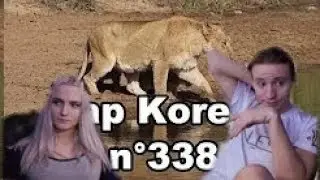РЕАКЦИЯ Modestal: Zap Koreus n&deg;338