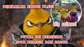 cobain aja pasti gacor - terapi pleci