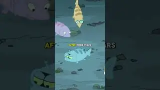 Salmon's Epic Journey #viralvideos #futurama #funny