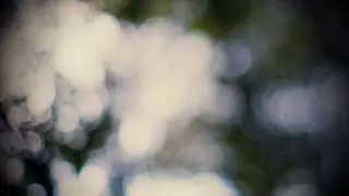 The Blind Poet - Meta - Community Voices
