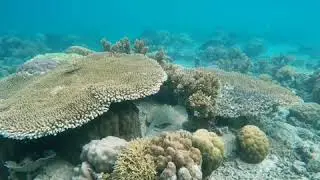 Andaman Marine View