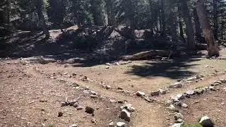 Kelly Camp water source, Cucamonga wilderness CA