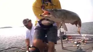 The Musky Hunter -- 2013!