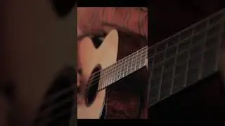 Mason Stoops ✨🤍 #isaacjangguitars #masonstoops #thetree #fingerstyle