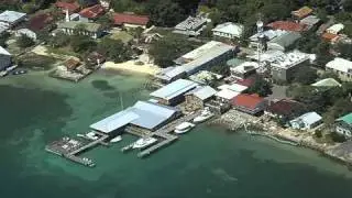 Our Newest Dive Operators - www.thescubadivingdirectory.com