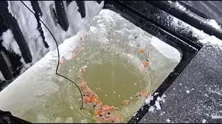 Welcome to Skeeterville! #Ice Fishing ##Bluegill #Perch #Large Mouth Bass