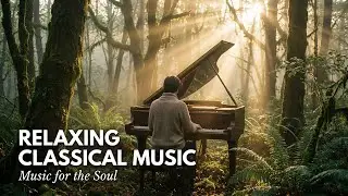 Classical music relaxes the soul and heart - Mozart, Chopin, Beethoven, Bach, Tchaikovsky 🎧🎧