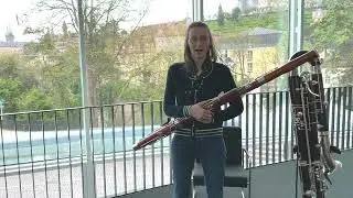 Instrumente - BAM erklärt - Das Fagott - Bamberger Symphoniker Education