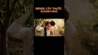 SERIES C&Acirc;Y THUỐC QUANH NH&Agrave;: C&Acirc;Y CỎ MỰC #health #cuocsong #songlanhmanh  #songcham
