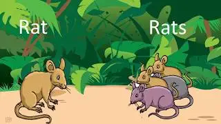 One and Many (singular plural) Class-2 animated video