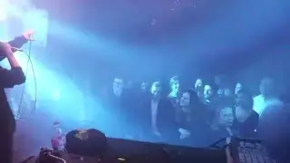 Sammalhabe - Loomeinimene live