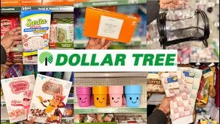 DOLLAR TREE FINDS 🛒 | A SHOPPING RUN GONE WRONG 💅😅