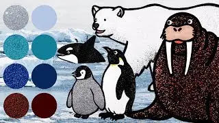Penguin Suits Up for a Dance Party! | Arctic Animals help Baby Penguin Dress Up