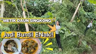 RAHASIA BUNTIL DAUN SINGKONG  Khas Sunda!gurih kental Bikin Nagih sampai Suapan Terakhir