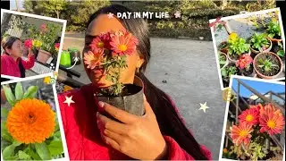 A Day in my life💚🫶🏻