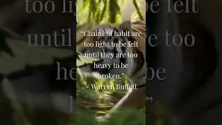 Inspirational Quote by Warren Buffett #inspirationalquotes #motivation #viral #adventure