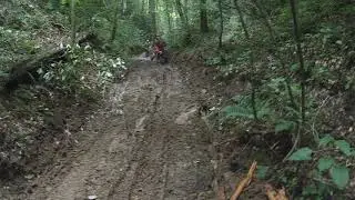 Warrior Trail 95