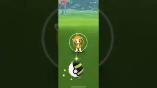Chimchar Spotlight Hour | Pok&eacute;mon GO | #Shorts