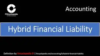Hybrid Financial Liability