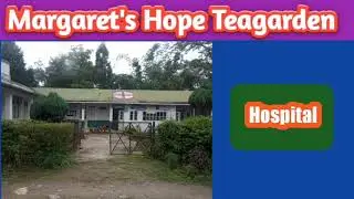 HOSPITAL Margaret's Hope Teagarden