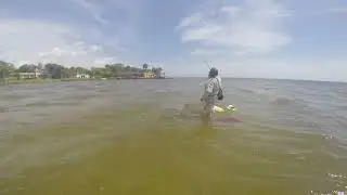 good slot snook