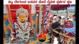 ವಿಟ್ಲ ಪಂಚಲಿoಗೇಶ್ವರ ದೇಗುಲದ ಬಸವನ ಮೇಲೆ ದೈವಿಕ ಸ್ಪರ್ಶದ ಕ್ಷಣ