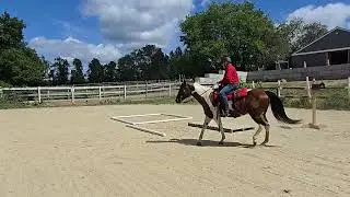 Class 98 - Open Trail WJL - Bob Williams #102 - August 2025 show