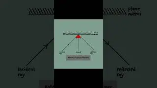 Optics, law of reflection, and light rays | Law of Reflection Made Easy! 🪞