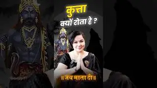 Why Dogs howl at night? #viral #astrology #trendingreels #reels #viralvideo #facts #youtubeshorts