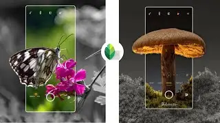3D mobile frame photo editing in Snapseed  | Nerov297 tutorial