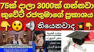 🇰🇼☝️😲කුවේට් රජතුමා දෙනකොට එපා කියන්න පුළුවන්ද #sarfanbavlog #kuwaitsinhalanews #srilankabreakingnews