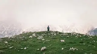F&ouml;r Alltid - Petrichor