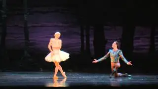 Swan Lake, Lake Side Pas de Deux - Houston Ballet 2014