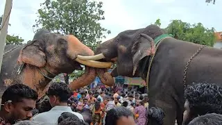 ആന ഇടഞ്ഞു Elephant attack irinjalakuda koodalmanikyam  kolakkadan kuttikrishnan #elephantattack