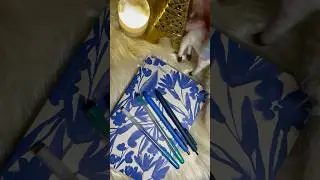 Can a 4 dollar Target notebook handle my pens?  Let&rsquo;s test a budget option!