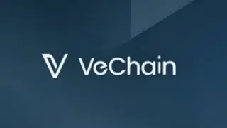 VECHAIN Coin (VET) The Fortune-500 Blockchain Nobody Mentions &ndash; AI Prediction 💎