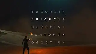 Denzel Moiz - Night Torch