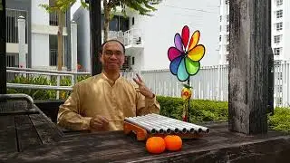 🍊 新年乐 | 新年歌曲 | Metallophone Pipedream 