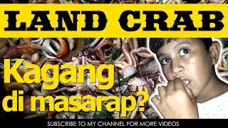 Terrestrial Crabs, Kagang or Land Crab Catch and Cook I Camotes Island - Vlog #67