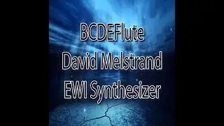 BCDEFlute | David Melstrand | EWI Synthesizer