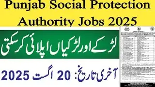 PSER Survey team Punjab government Jobs 2025 / Punjab...