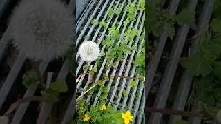 Christ Jess :l esprit de l utilite de compr&eacute;hension French  sous titres english