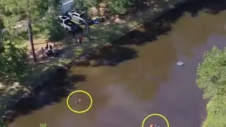 Investigation after mother, kids nearly drown in Liberty County