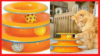 Petstages Cat Tracks Cat Toy, stemir sir, nicolay cattery